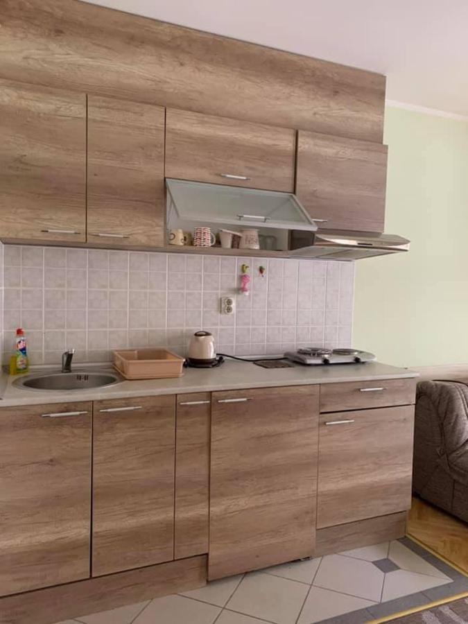 Apartmani Micic Vrnjačka Banja Exterior foto